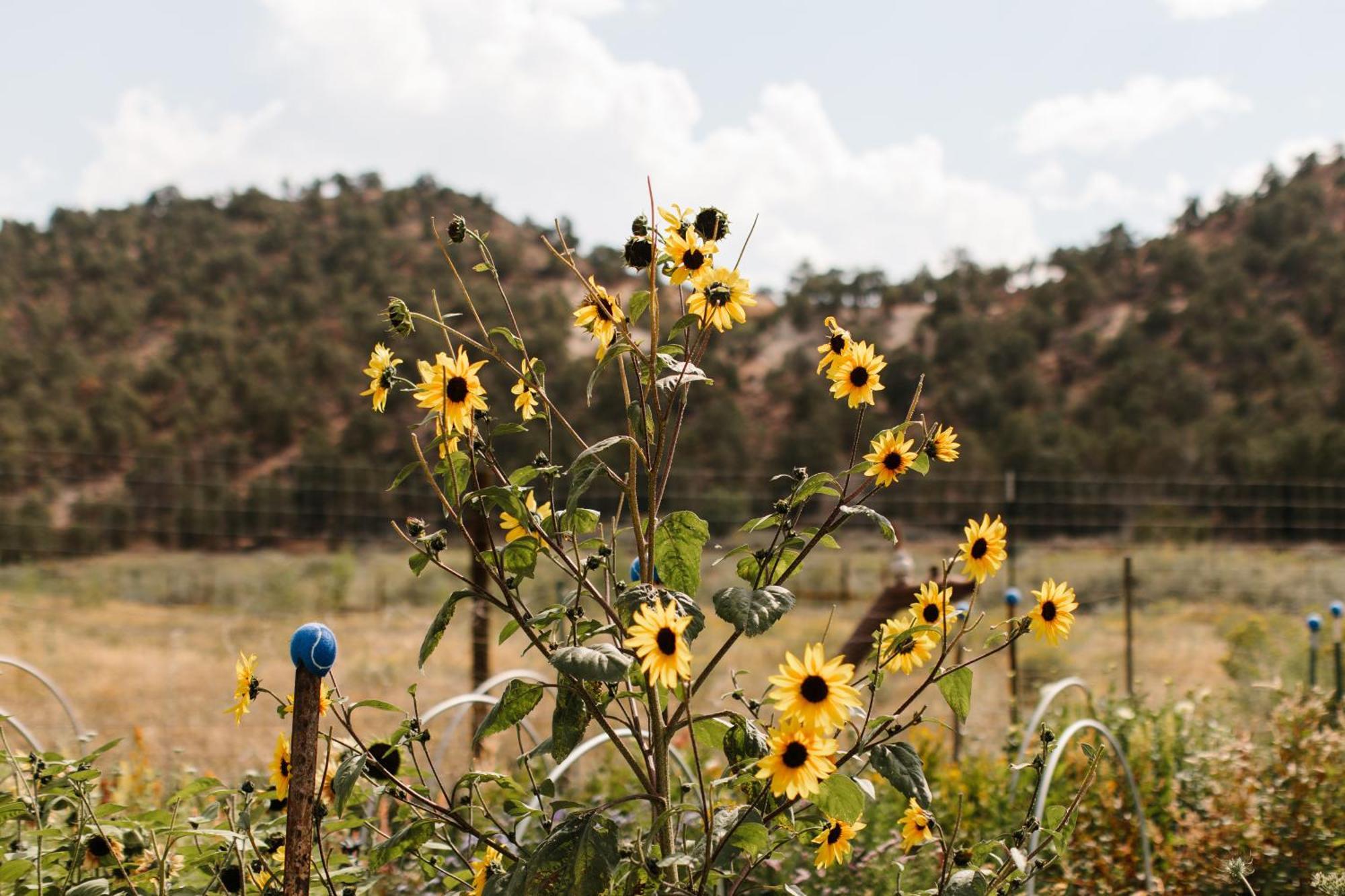 Boulder Mountain Guest Ranch Villa Exterior photo